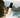 Wilderness Cologne Discovery Set Gif
